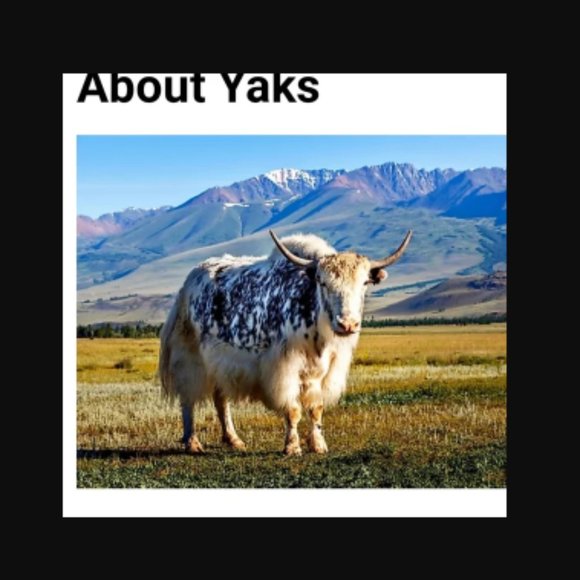 Fair Isle Wool Mittens 100%YAK Wool Fleece Lined Nordic Chunky Knit Mde in Nepal - Picture 4 of 11